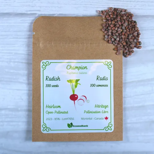 Champion Radish Seeds