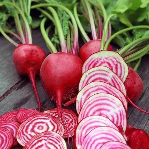 Chioggia Beet Seeds