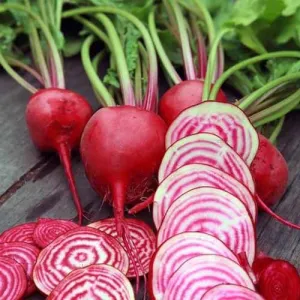 Chioggia Beet Seeds
