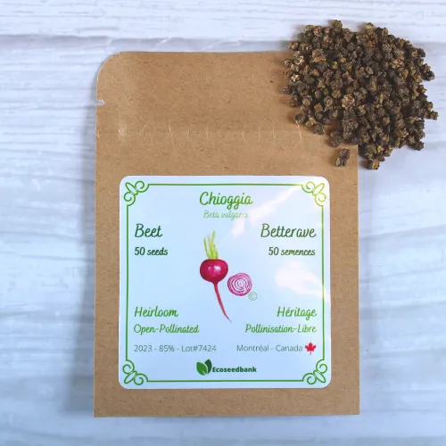 Chioggia Beet Seeds