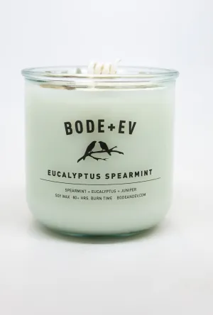 Eucalyptus Spearmint: 10oz Soy Wax Candle topped with Eucalyptus