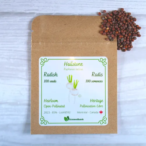 Hailstone Radish Seeds
