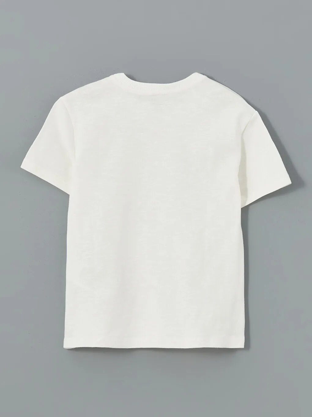 LCW Kids Ecru Crew Neck Printed Boys T-Shirt 2-Pack