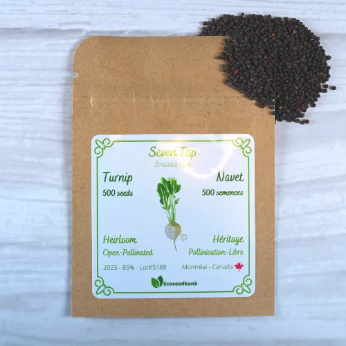 Seven Top Turnip Seeds